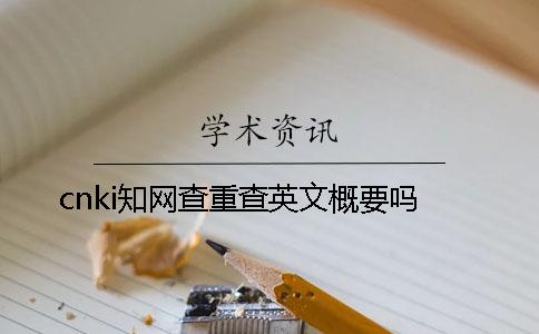 cnki學術查重查英文概要嗎