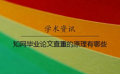 學術畢業論文查重的原理有哪些