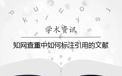 學術查重中如何標注引用的文獻？