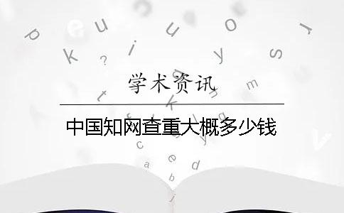 中國學(xué)術(shù)查重大概多少錢